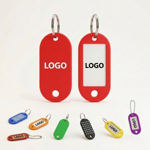 Reversible Quick-ID Key & Luggage Tag with Insertable Labels